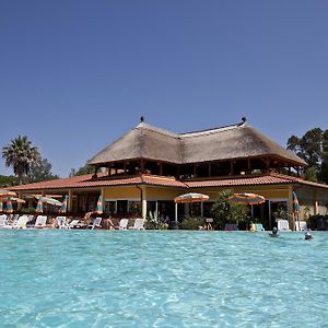 Camping Free Beach
